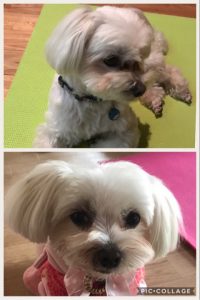 o0480072013915818399